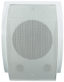 TSo-SW10b Громкоговоритель настенный